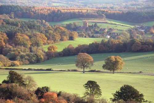 Albury seen from Surrey Hills