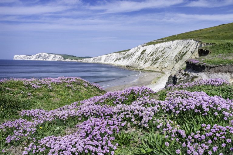 Cliffs on the Isle Of Wight