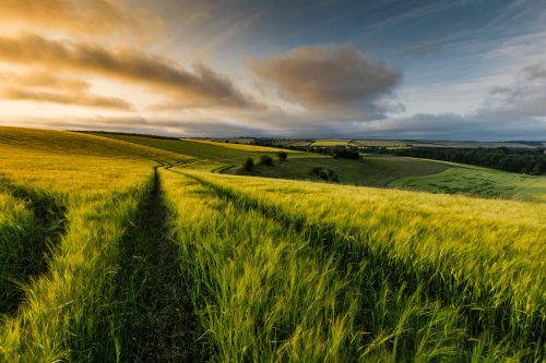 Luxury Cottages Lincolnshire