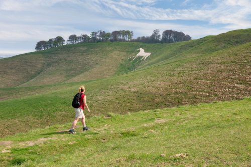 Lady walking in Wiltshire up the hill where the ancient Cherhill White Horse chalk carving is